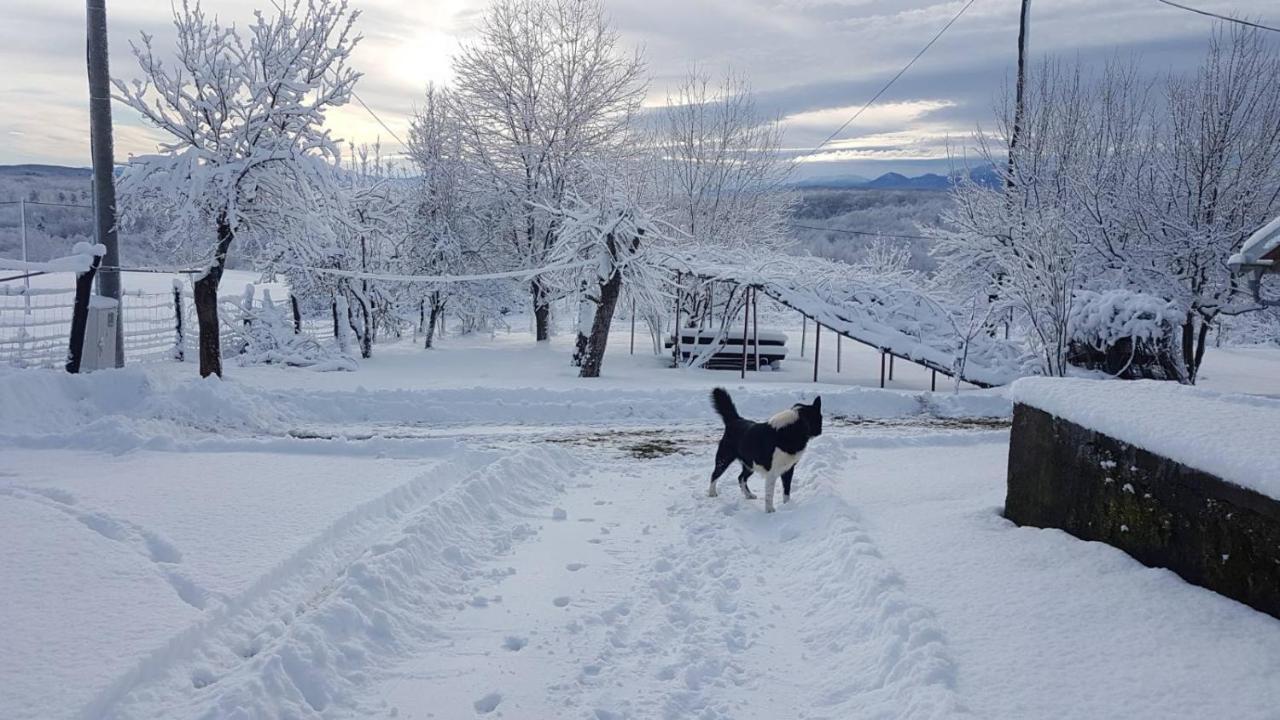 House Luna Rakovica Buitenkant foto