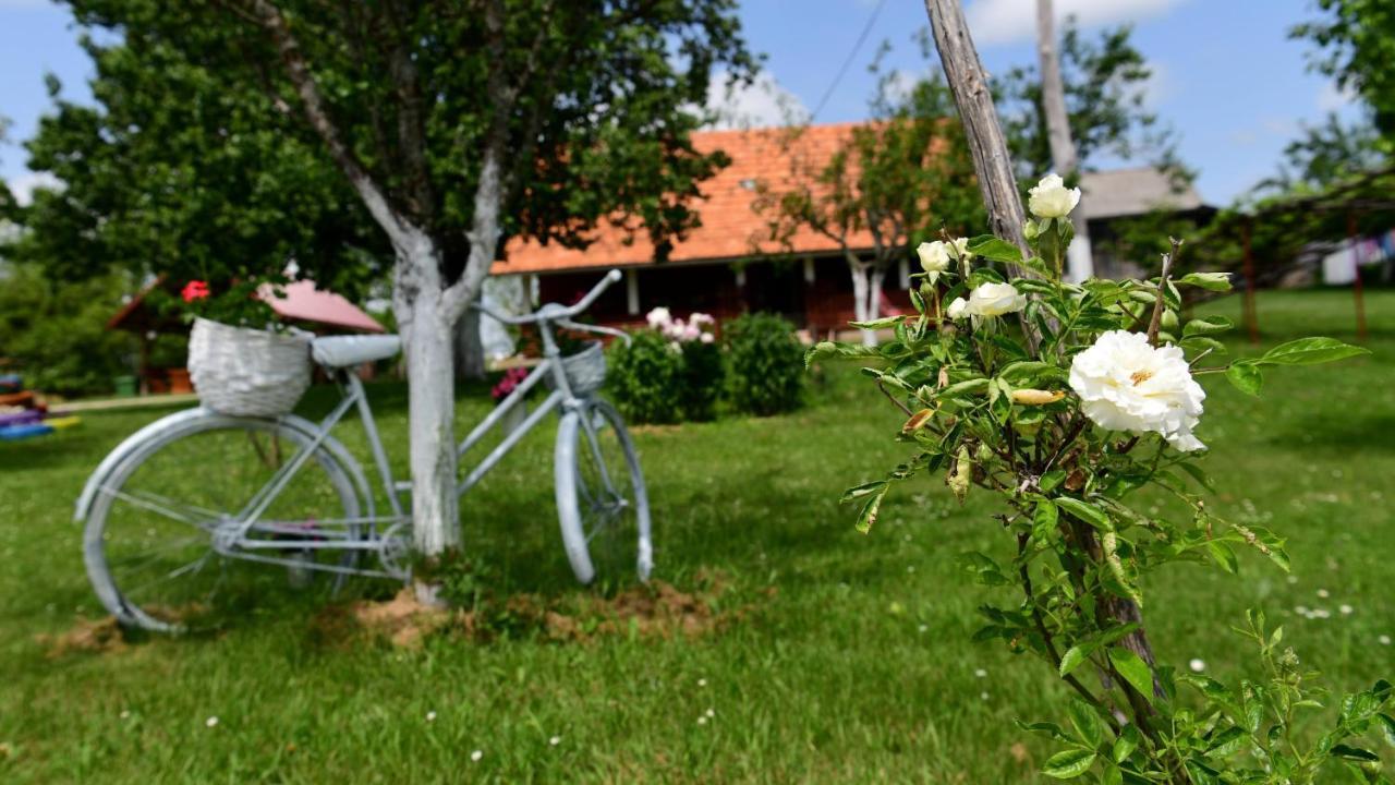 House Luna Rakovica Buitenkant foto
