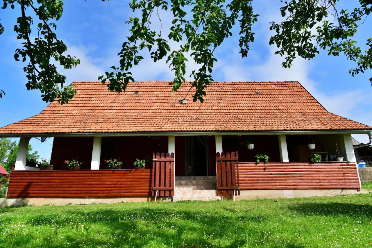 House Luna Rakovica Buitenkant foto