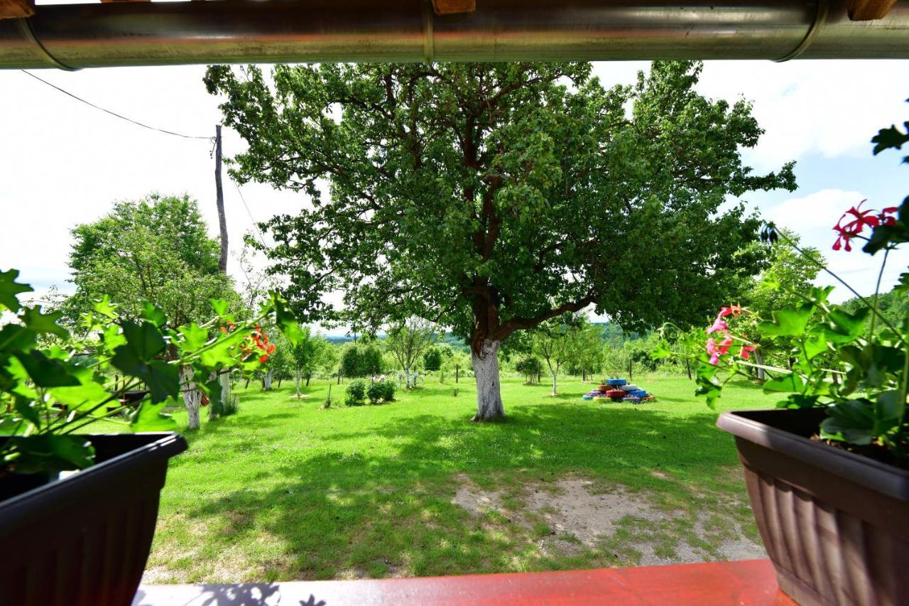 House Luna Rakovica Buitenkant foto