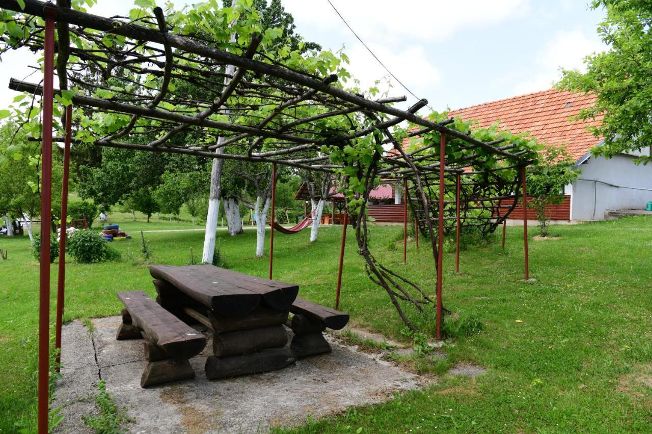 House Luna Rakovica Buitenkant foto