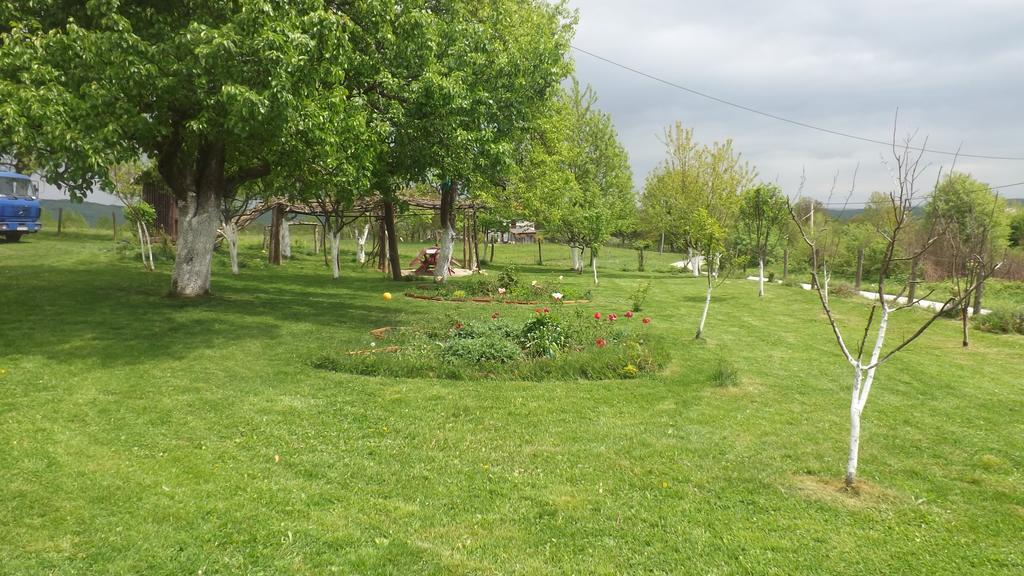 House Luna Rakovica Buitenkant foto