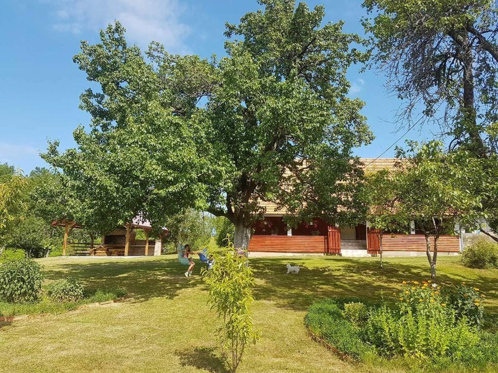 House Luna Rakovica Buitenkant foto